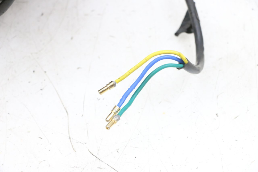 photo de JANTE AVANT ET PNEU DUALTRON VICTOR LIMITED 1 - Vue rapprochée