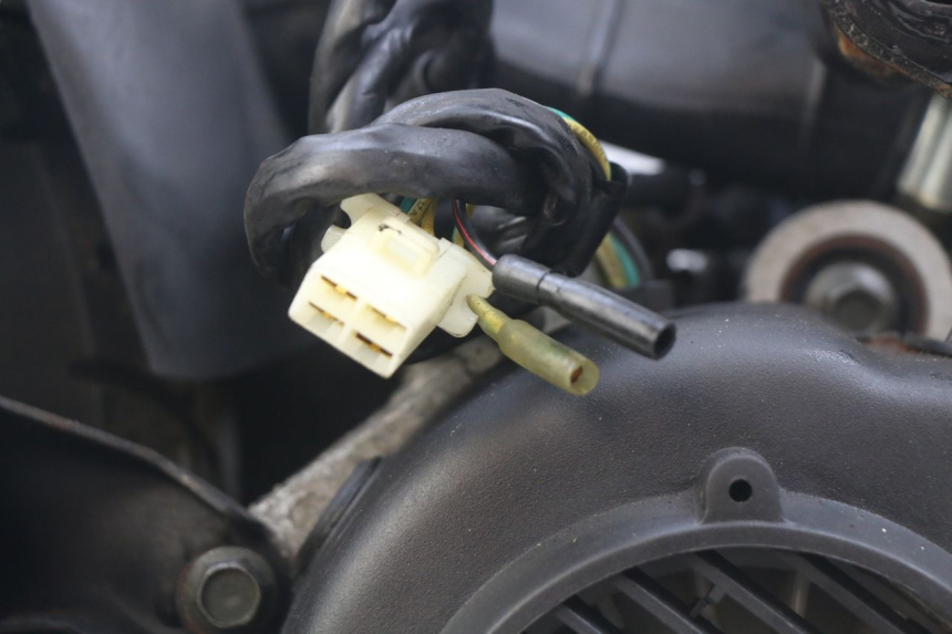 photo de MOTEUR WILDLANDER BISCUIT 125 (2004 - 2010) - Détails caractéristiques