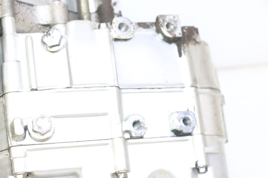 photo de MOTEUR SKYTEAM DAX REPLICA 110 (2005 - 2015) - Focus structure