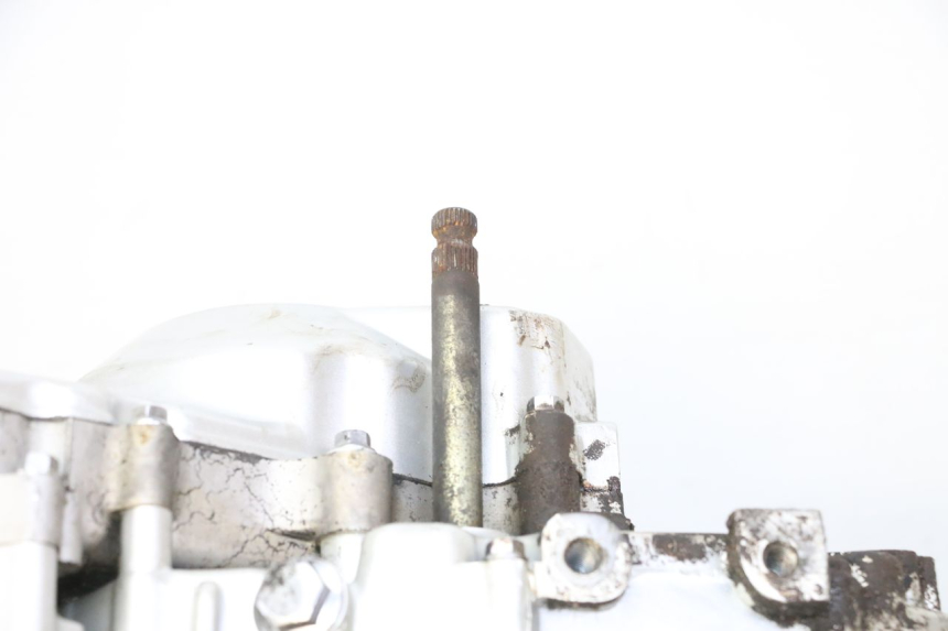 photo de MOTEUR SKYTEAM DAX REPLICA 110 (2005 - 2015) - Zoom qualité