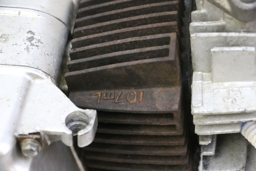 photo de MOTEUR SKYTEAM DAX REPLICA 110 (2005 - 2015) - Zoom état d’usage