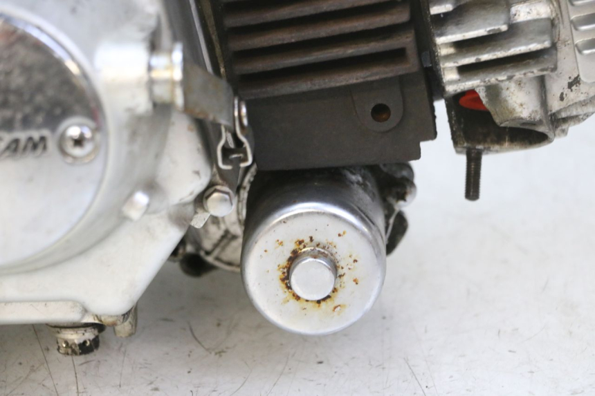 photo de MOTEUR SKYTEAM DAX REPLICA 110 (2005 - 2015) - Gros plan technique