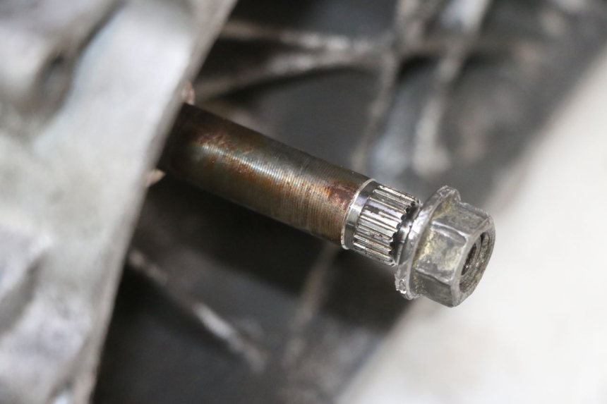 photo de MOTEUR PEUGEOT ELYSTAR 50 (2002 - 2014) - Zoom état d’usage