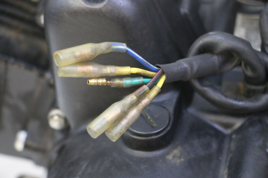 photo de MOTEUR STAHO FH 50 (2018 - 2019) - Détails caractéristiques