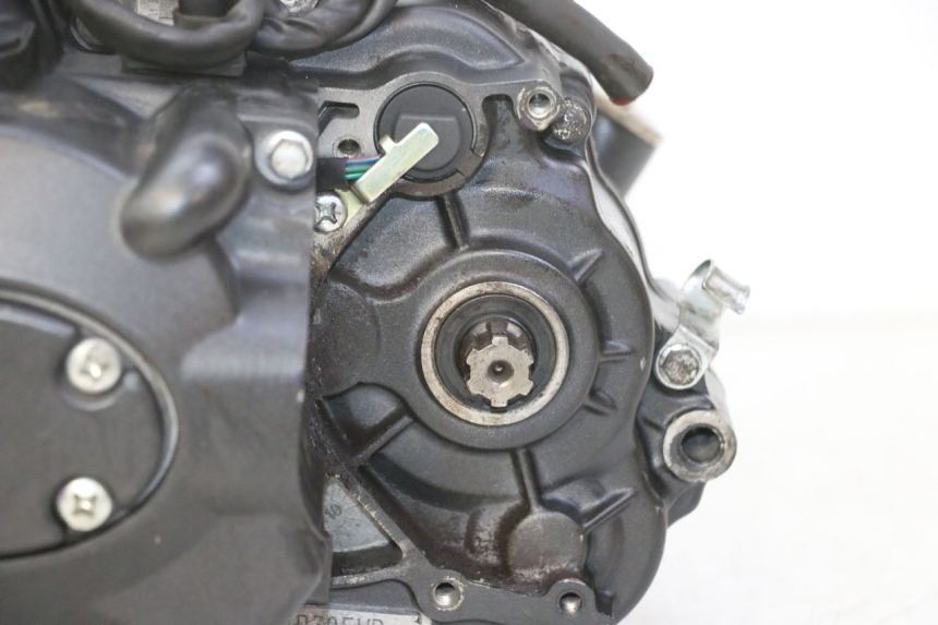 photo de MOTEUR STAHO FH 50 (2018 - 2019) - Vue rapprochée