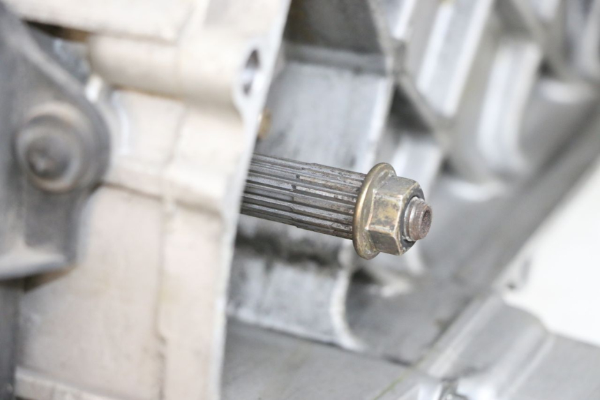 photo de MOTEUR PIAGGIO LIBERTY 4T 50 (2018 - 2021) - Détails caractéristiques