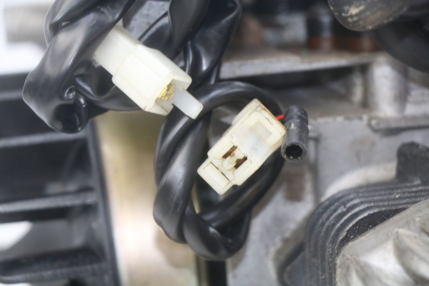 photo de MOTEUR PEUGEOT LUDIX 50 (2005 - 2007) - Zoom qualité