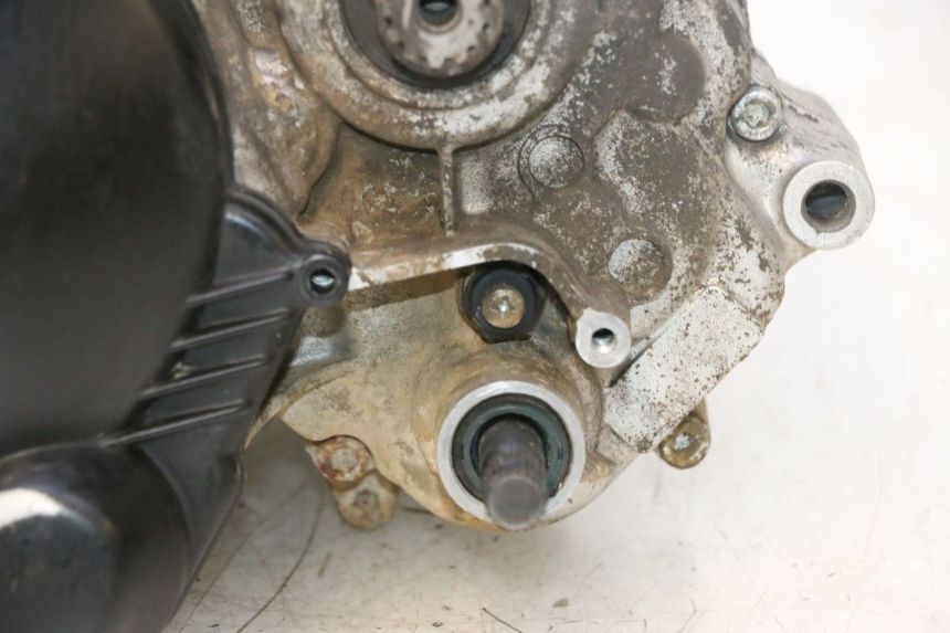photo de MOTEUR RIEJU MRT PRO SUPERMOTARD 50 (2007 - 2018) - Gros plan technique