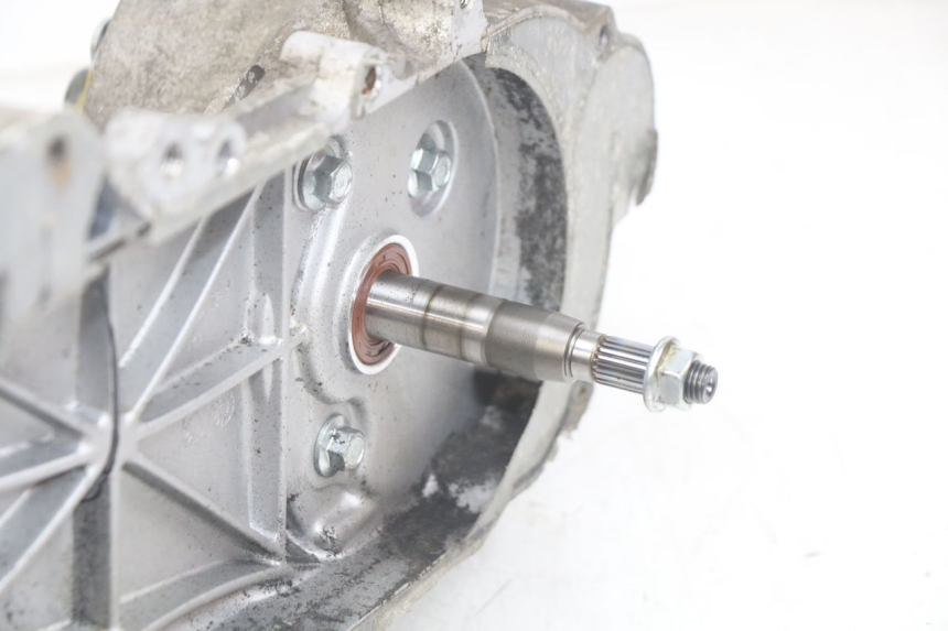 photo de MOTEUR JM MOTORS OLDIES RS 4T 50 (2021 - 2024) - Zoom composants