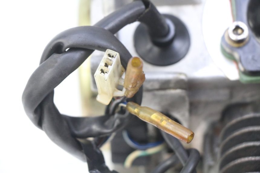 photo de MOTEUR IMF INDUSTRIE PACH 2T 50 (2009 - 2018) - Vue rapprochée