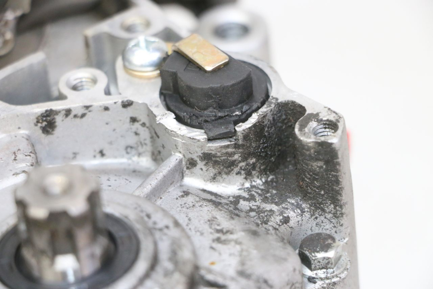 photo de MOTEUR APOLLO RFZ 125 - Gros plan technique