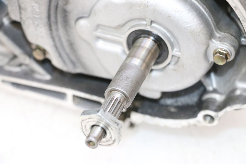 photo de MOTEUR TNT MOTOR ROMA 10' 2T 50 (2011 - 2018) - Angle alternatif