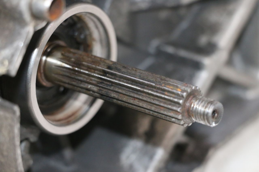 photo de MOTEUR TNT MOTOR ROMA 10' 2T 50 (2011 - 2018) - Détails caractéristiques