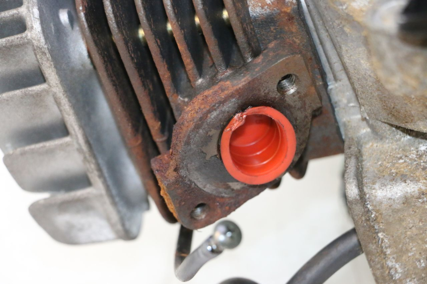 photo de MOTEUR TNT MOTOR ROMA 12' 2T 50 (2007 - 2018) - Détail de la pièce