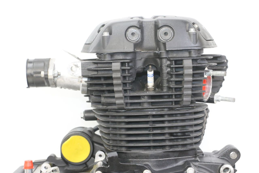 photo de MOTEUR ROYAL ENFIELD HYMALAYAN 410 (2016 - 2023) - Photo complémentaire