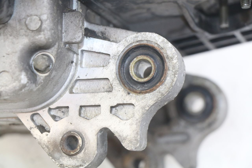 photo de MOTEUR JM MOTORS SANTANA 50 (2014 - 2023) - Zoom état d’usage