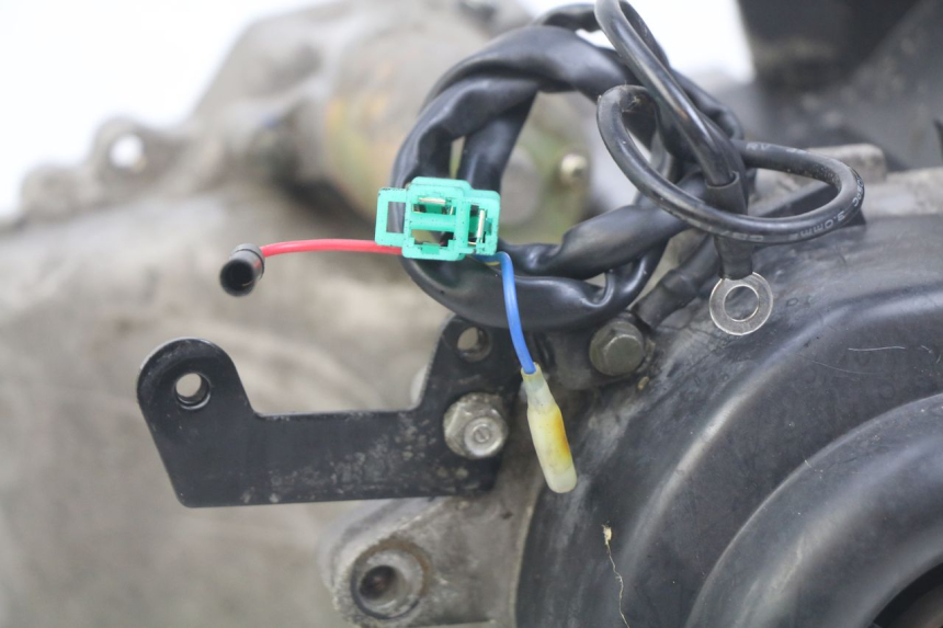 photo de MOTEUR JM MOTORS SANTANA 50 (2014 - 2023) - Marquages et références