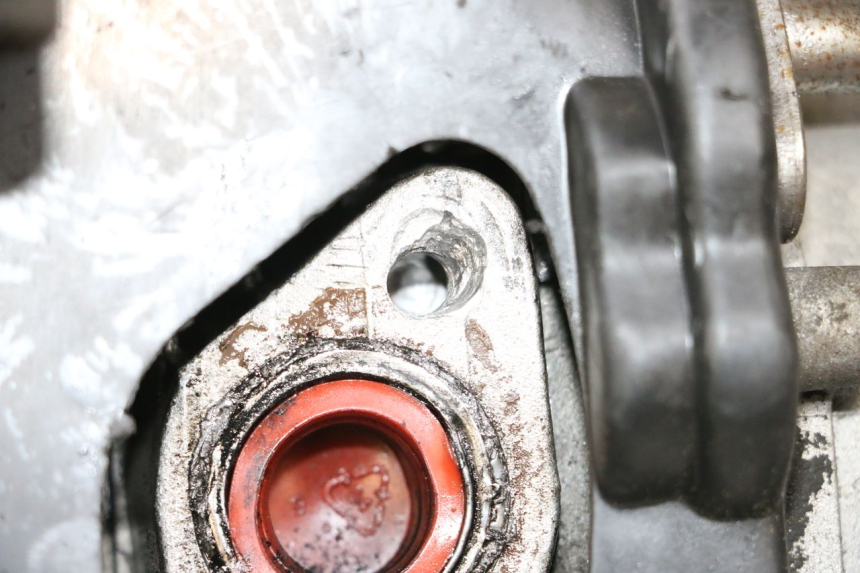 photo de MOTEUR JM MOTORS SANTANA 50 (2014 - 2023) - Zoom état d’usage