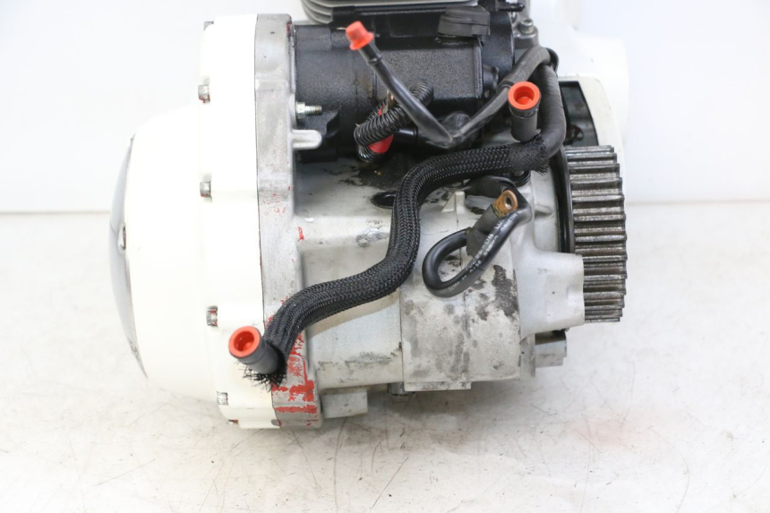 photo de MOTEUR HARLEY DAVIDSON SPORTSTER XL CUSTOM 883 (1999 - 2006) - Photo complémentaire