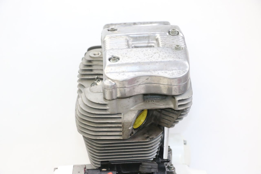 photo de MOTEUR HARLEY DAVIDSON SPORTSTER XL CUSTOM 883 (1999 - 2006) - Focus structure