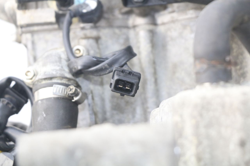 photo de MOTEUR TRIUMPH SPRINT ST ABS 1050 (2005 - 2007) - Détails caractéristiques