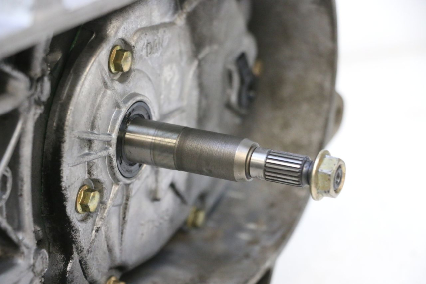 photo de MOTEUR PEUGEOT STREETZONE NAKED 2T 50 (2014 - 2018) - Détail de la pièce