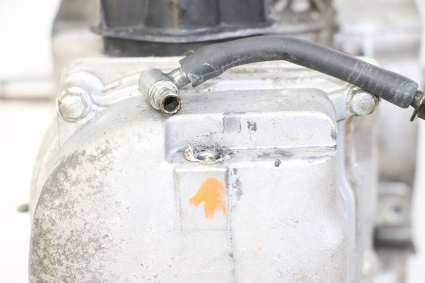 photo de MOTEUR JM MOTORS SUNNY 50 (2017 - 2020) - Vue produit