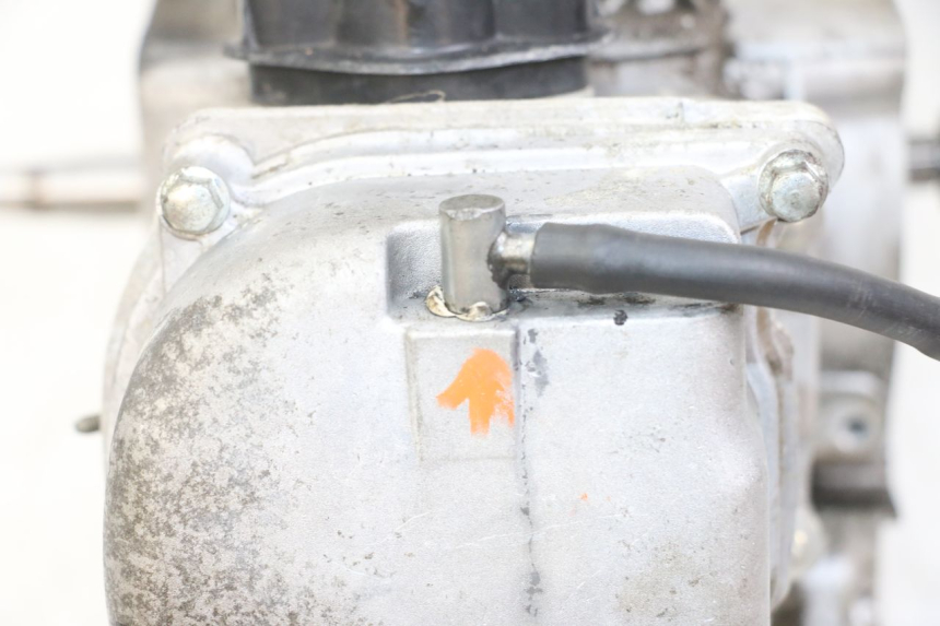 photo de MOTEUR JM MOTORS SUNNY 50 (2017 - 2020) - Détails caractéristiques