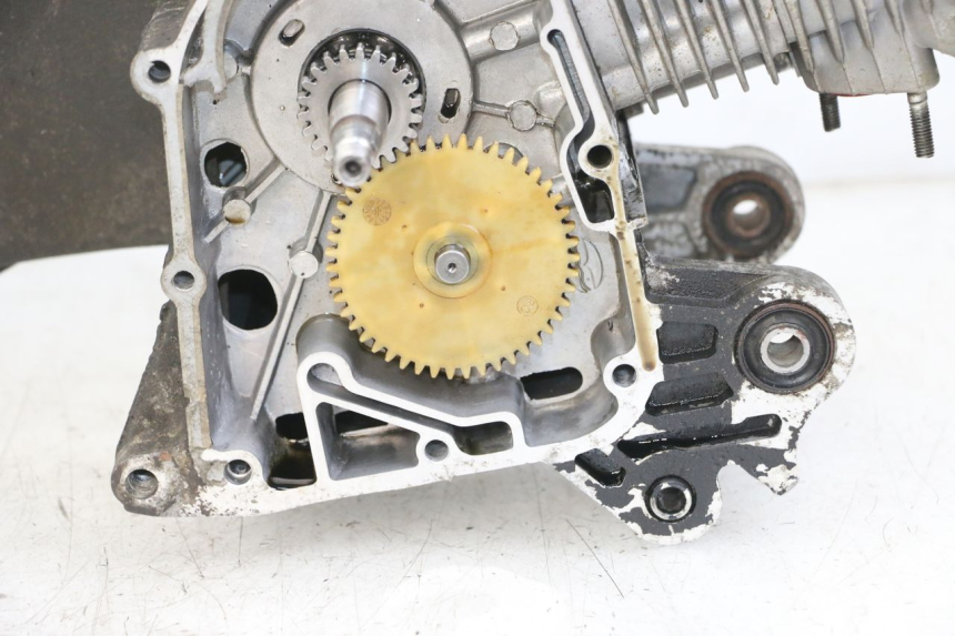 photo de MOTEUR JM MOTORS SUNNY 50 (2017 - 2020) - État de surface