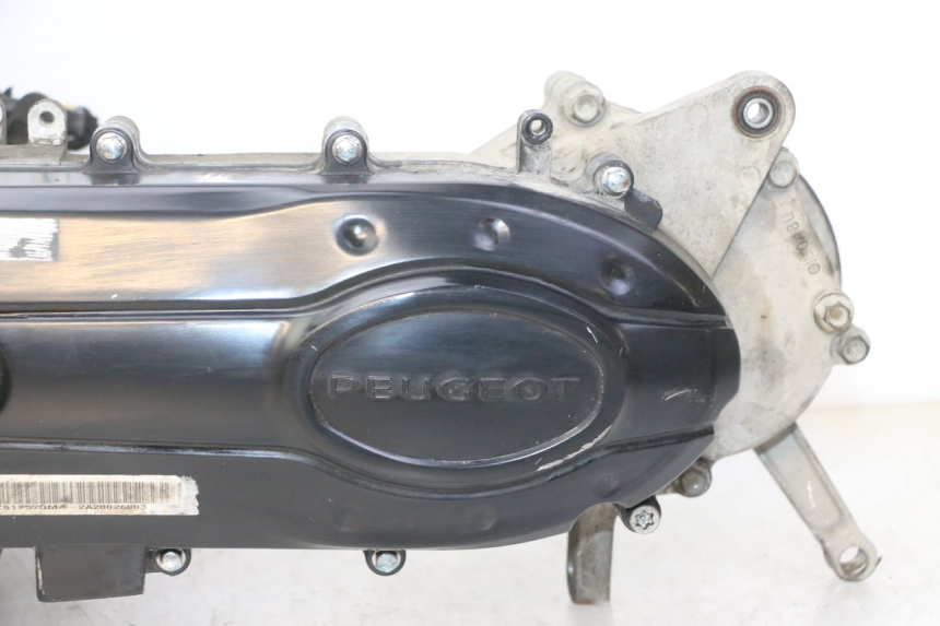 photo de MOTEUR PEUGEOT TWEET 4T 50 (2018 - 2022) - Vue principale