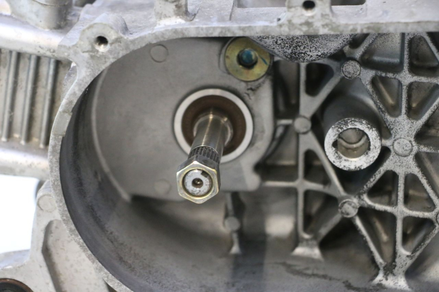 photo de MOTEUR PEUGEOT TWEET 4T 50 (2018 - 2022) - Photo complémentaire
