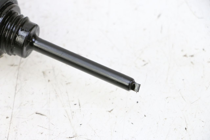 photo de MOTEUR PEUGEOT TWEET PRO CARGO 50 (2018 - 2022) - Détail de la pièce