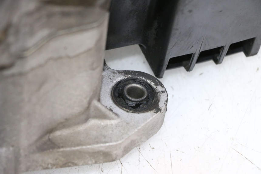 photo de MOTEUR PEUGEOT TWEET PRO CARGO 50 (2018 - 2022) - Vue rapprochée