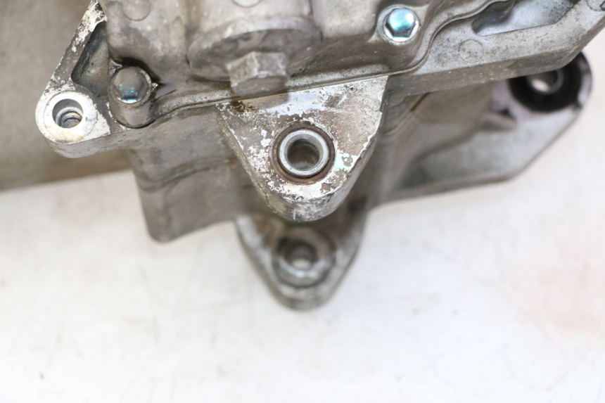 photo de MOTEUR PEUGEOT TWEET PRO CARGO 50 (2018 - 2022) - Zoom qualité