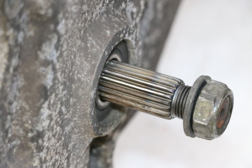 photo de MOTEUR PEUGEOT TWEET PRO CARGO 50 (2018 - 2022) - Détail de la pièce