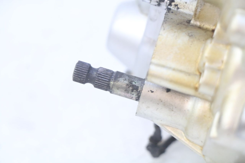 photo de MOTEUR KEEWAY TX 50 (2008 - 2015) - Angle alternatif