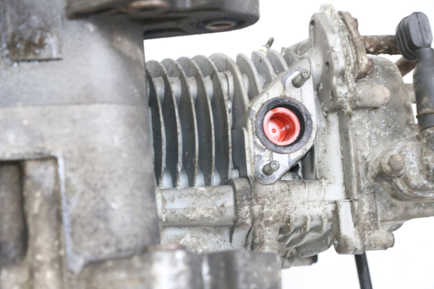 photo de ENGINE BEELINE VELOCE 4T 50 (2011 - 2020) - Détail de la pièce