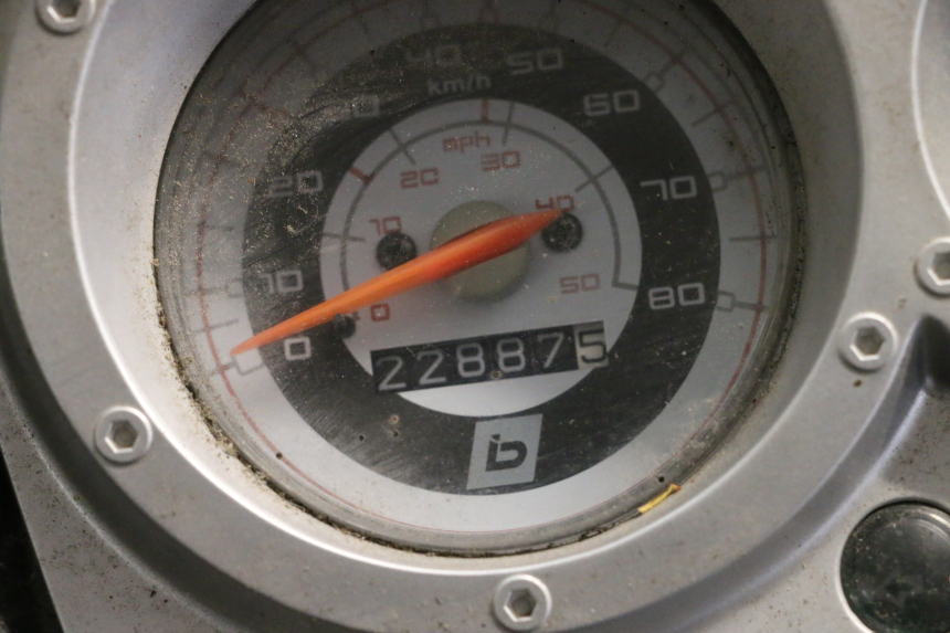 photo de ENGINE BEELINE VELOCE 4T 50 (2011 - 2020) - Focus structure