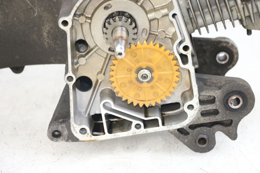 photo de ENGINE BEELINE VELOCE 4T 50 (2011 - 2020) - État de surface