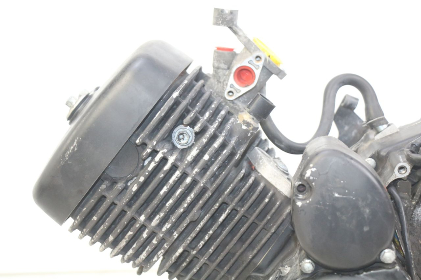 photo de MOTEUR DAELIM VL DAYSTAR 125 (2000 - 2011) - Photo complémentaire