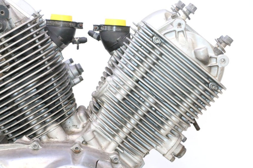 photo de MOTEUR YAMAHA XV VIRAGO 535 (1988 - 2004) - Vue rapprochée