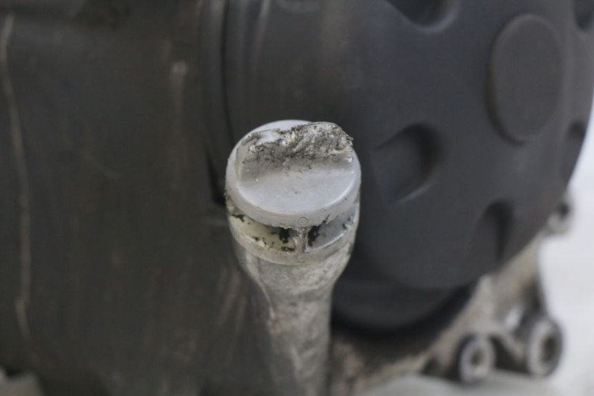 photo de MOTEUR YAMAHA YP MAJESTY 125 (2007 - 2010) - Vue d’ensemble