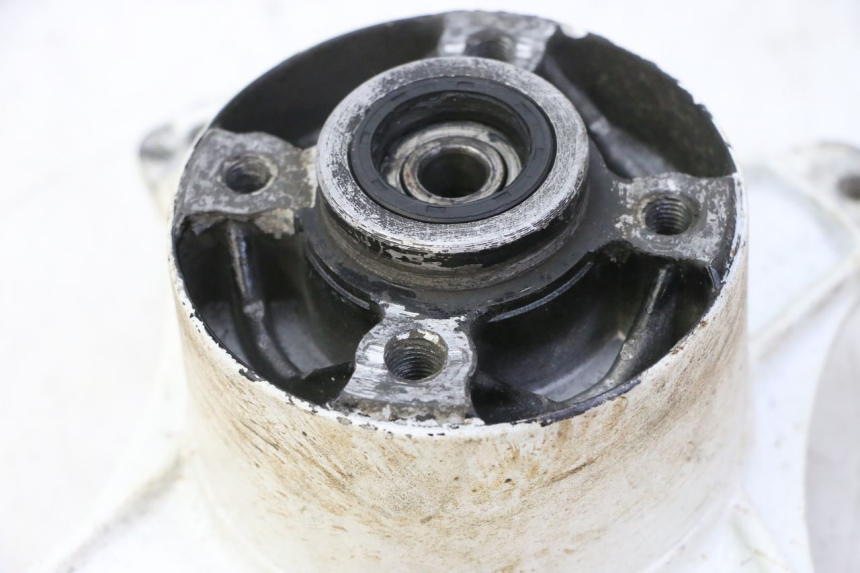 photo de MOYEU ROUE ARRIERE SKYTEAM DAX REPLICA 110 (2005 - 2015) - Zoom état d’usage