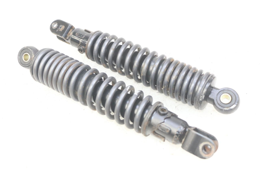 photo de PAIRE AMORTISSEUR ARRIERE ECCITY ARTELEC 670 1 (2013 - 2017) - Vue principale