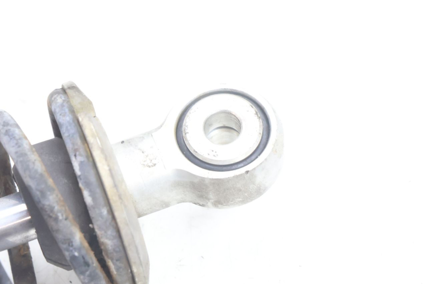 photo de PAIRE AMORTISSEUR ARRIERE BMW C1 125 (2000 - 2003) - État de surface