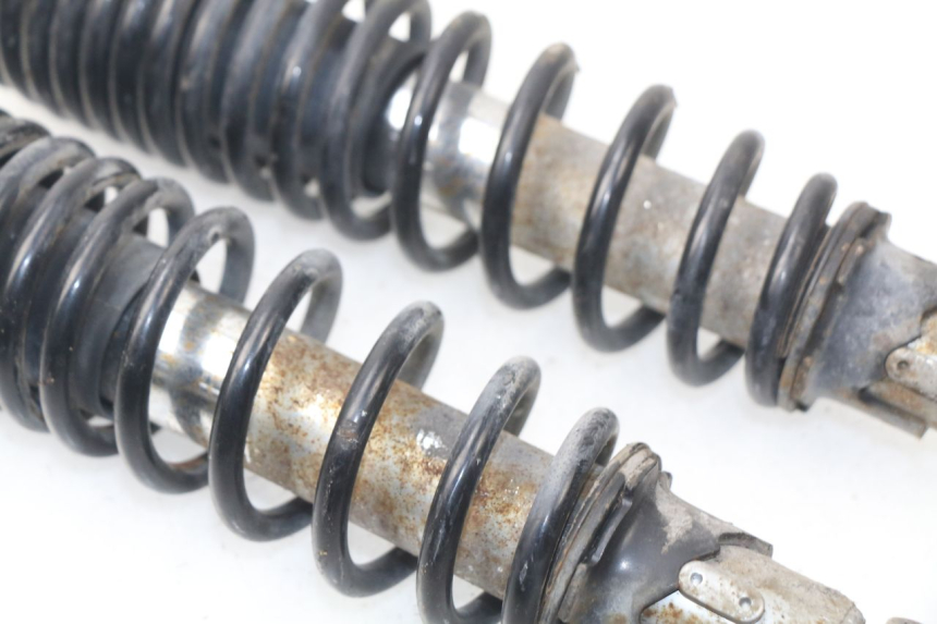 photo de PAIRE AMORTISSEUR ARRIERE ERIDER CARGO 1 (2009 - 2018) - Vue d’ensemble