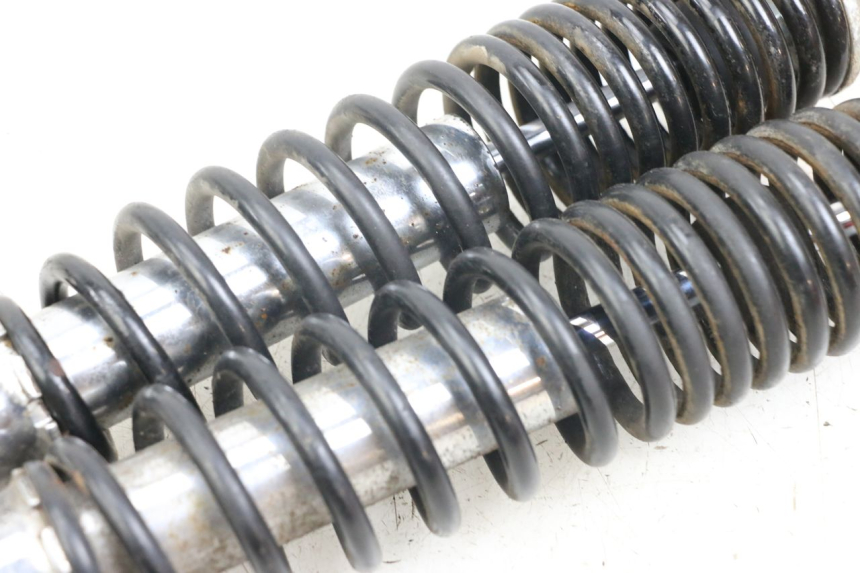 photo de PAIRE AMORTISSEUR ARRIERE DAELIM S3 125 (2010 - 2017) - État de surface