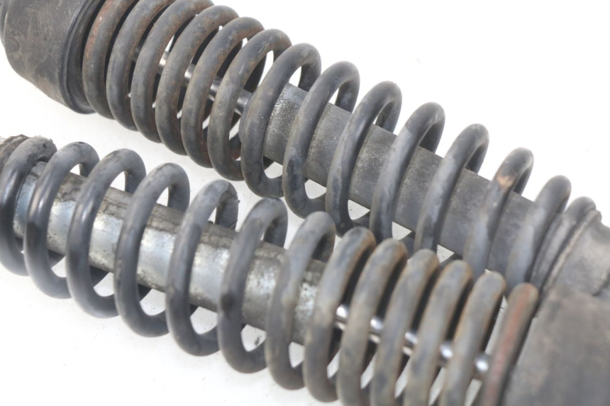 photo de PAIRE AMORTISSEUR ARRIERE HONDA SES DYLAN 125 (2002 - 2006) - Vue d’ensemble