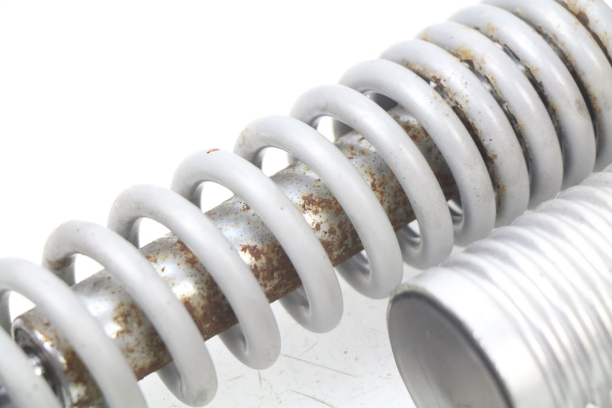 photo de PAIRE AMORTISSEUR ARRIERE RAZZO STEED 125 (2012 - 2018) - Autre angle de vue