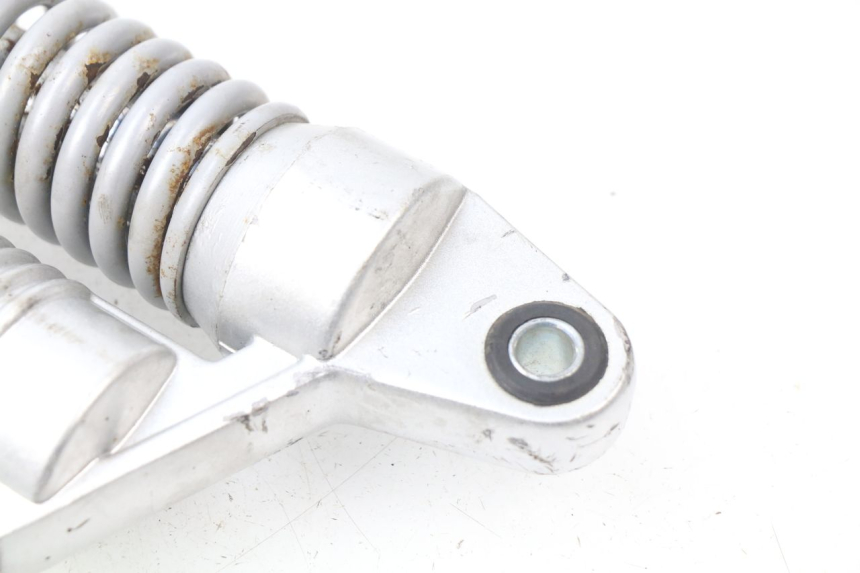 photo de PAIRE AMORTISSEUR ARRIERE RAZZO STEED 125 (2012 - 2018) - Vue d’ensemble